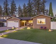 1006 ALMARIDA DR, San Jose image