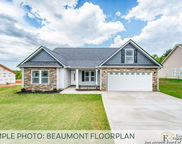 142 Merion Ln, La Vernia image