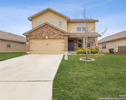 8816 Belgian, San Antonio image