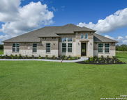 10811 Chestnut Warbler, New Braunfels image