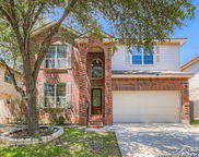 8202 Eagle Peak, Helotes image