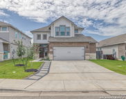 3249 Hyacinth, New Braunfels image
