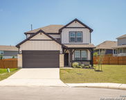 27422 Bighorn Sheep, Boerne image