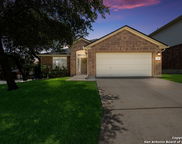 25603 Sophora, San Antonio image