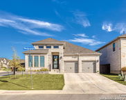 12523 Niederwald, San Antonio image