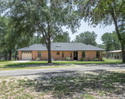 255 Blackjack, La Vernia image