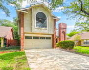 15338 Winter Mist Dr, San Antonio image