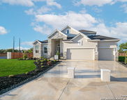 270 Lily Pass, Castroville image
