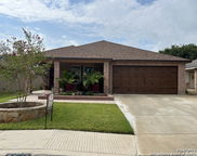 3946 Angel Trumpet, San Antonio image