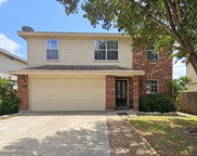 317 Ibis Falls Dr., New Braunfels image