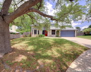11406 Forest Elf, Live Oak image