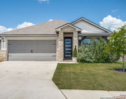 1295 William Crest, New Braunfels image