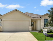 220 Squacco Heron, San Antonio image