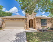 25547 Veining, San Antonio image