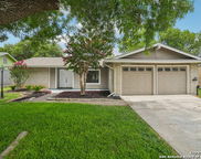 11930 Holm Oaks, San Antonio image