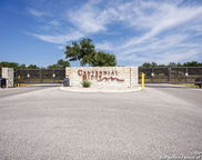 829 Earle Oak Ave, Bulverde image