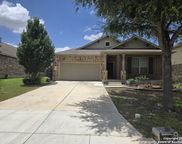 2738 Cinnamon Teal, New Braunfels image
