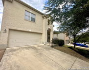6741 Wayman, Live Oak image