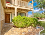 367 Cylamen, New Braunfels image