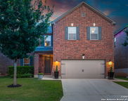 4414 Montrose Wood, San Antonio image