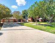 109 Bobwhite, Seguin image