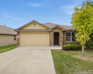 15430 Bobwhite Quail, San Antonio image