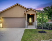 810 Brown Thrasher, San Antonio image