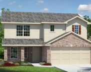271 Squacco Heron, San Antonio image