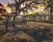 981 Jenny Leigh Trail, Bulverde image