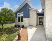 1310 Yaupon, Fischer image