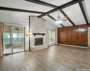 11408 Golden Oak, Live Oak image