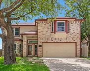 11305 Forest Night, Live Oak image