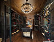 11118 Anaqua Spgs, Boerne image