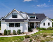 340 Warbler, Spring Branch image