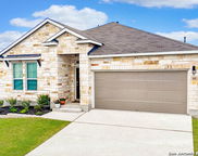 444 Butterfly Bush Ct, New Braunfels image