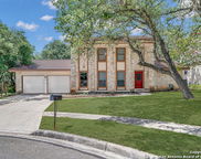 4510 White Elm Woods, San Antonio image
