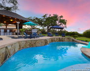 27951 Wild Bloom, San Antonio image