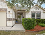 12018 Treewell, San Antonio image