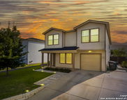 707 Ridingate Farm, San Antonio image