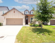 4926 Drifter Oaks, St Hedwig image