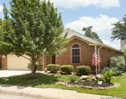 25614 Sago Palm, San Antonio image