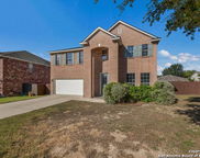 173 Springtree Gate, Cibolo image