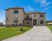9 Cattle, Castroville image