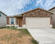 436 Holly Bush, New Braunfels image