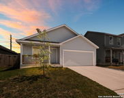 6239 Chastetree, Bulverde image