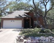 18623 Paloma Wood, San Antonio image