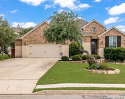 2962 Blenheim, Bulverde image