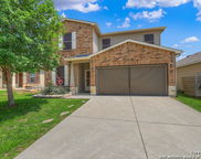 177 Texas Thistle, New Braunfels image