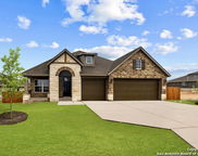 1333 Spotted Jaguar, New Braunfels image