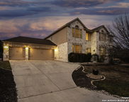 9223 Saucedo, Helotes image